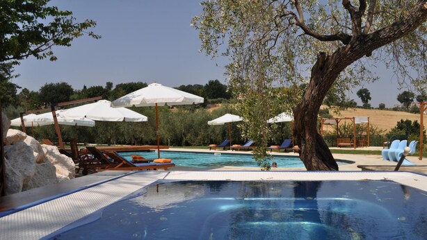 Une piscine extérieure entourée d’arbres, avec des chaises longues et des parasols, sous un ciel dégagé.