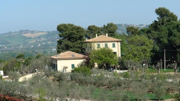 Taman