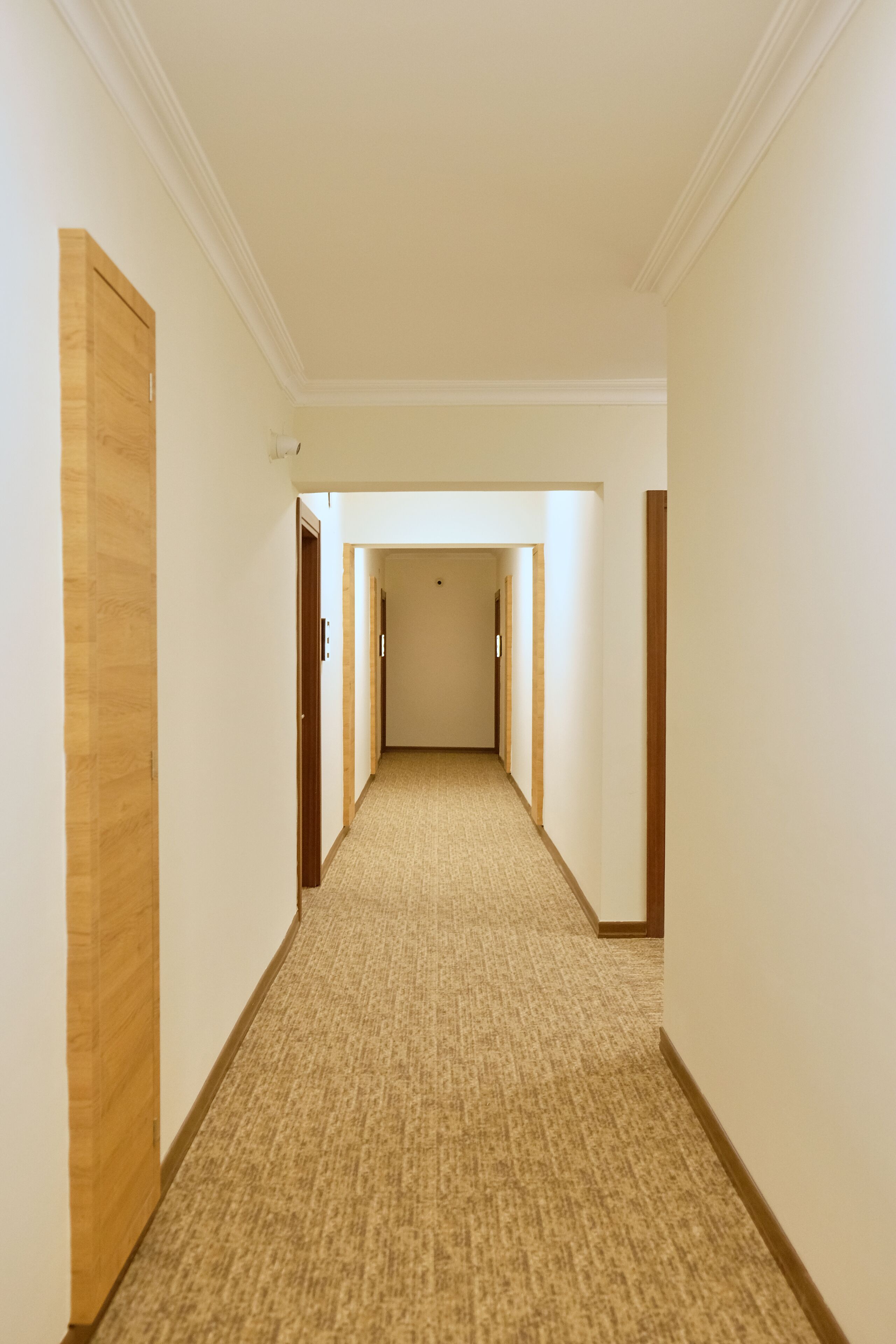 A hotel hallway with carpeted floors and wooden doors.