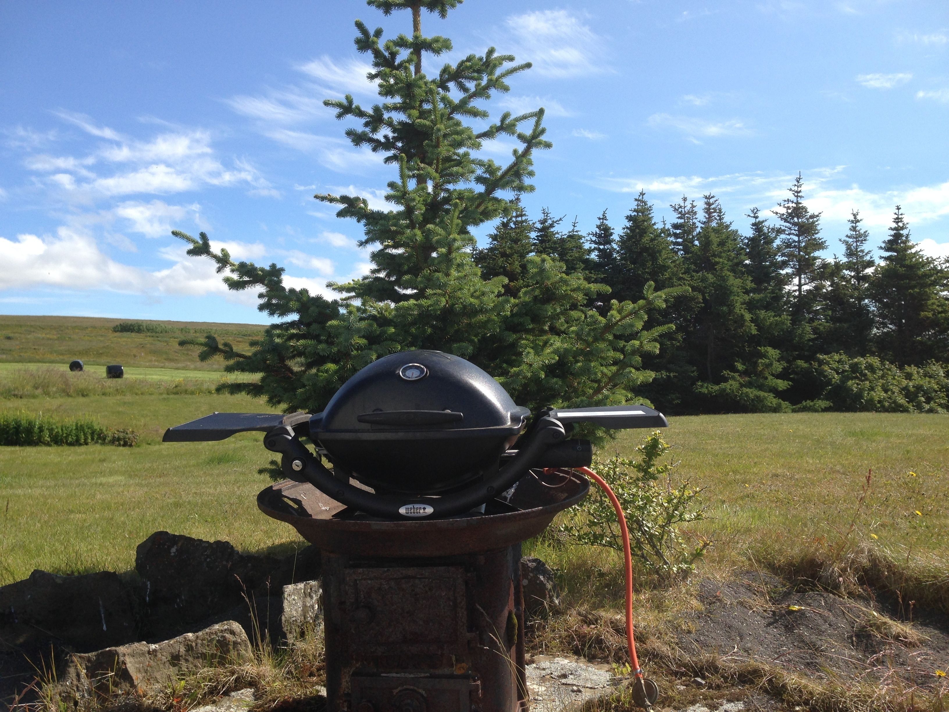 Grill-/piknikområde