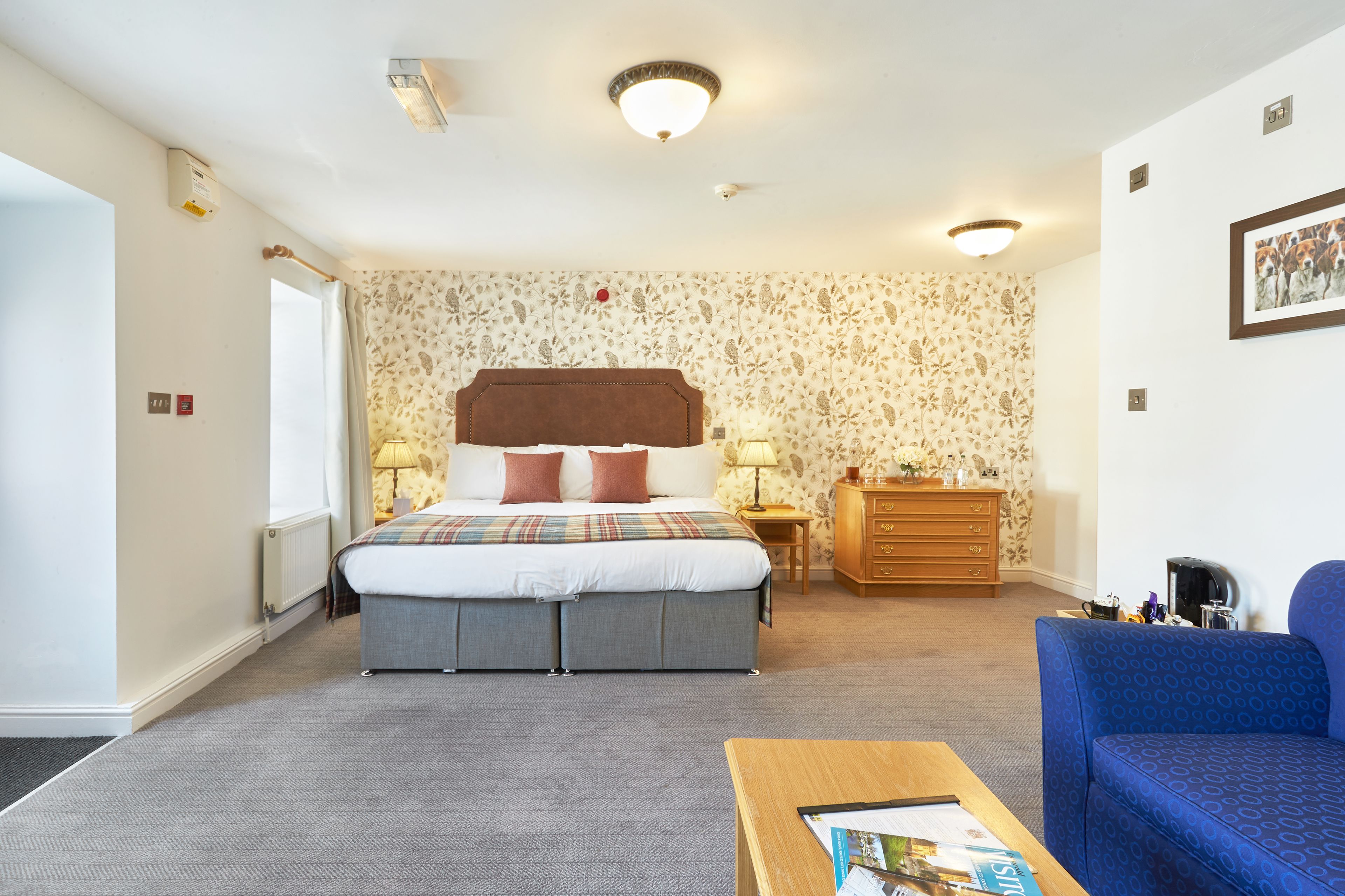 premier double or twin room, 1 bedroom | individually decorated, individually furnished, desk, iron/ironing board