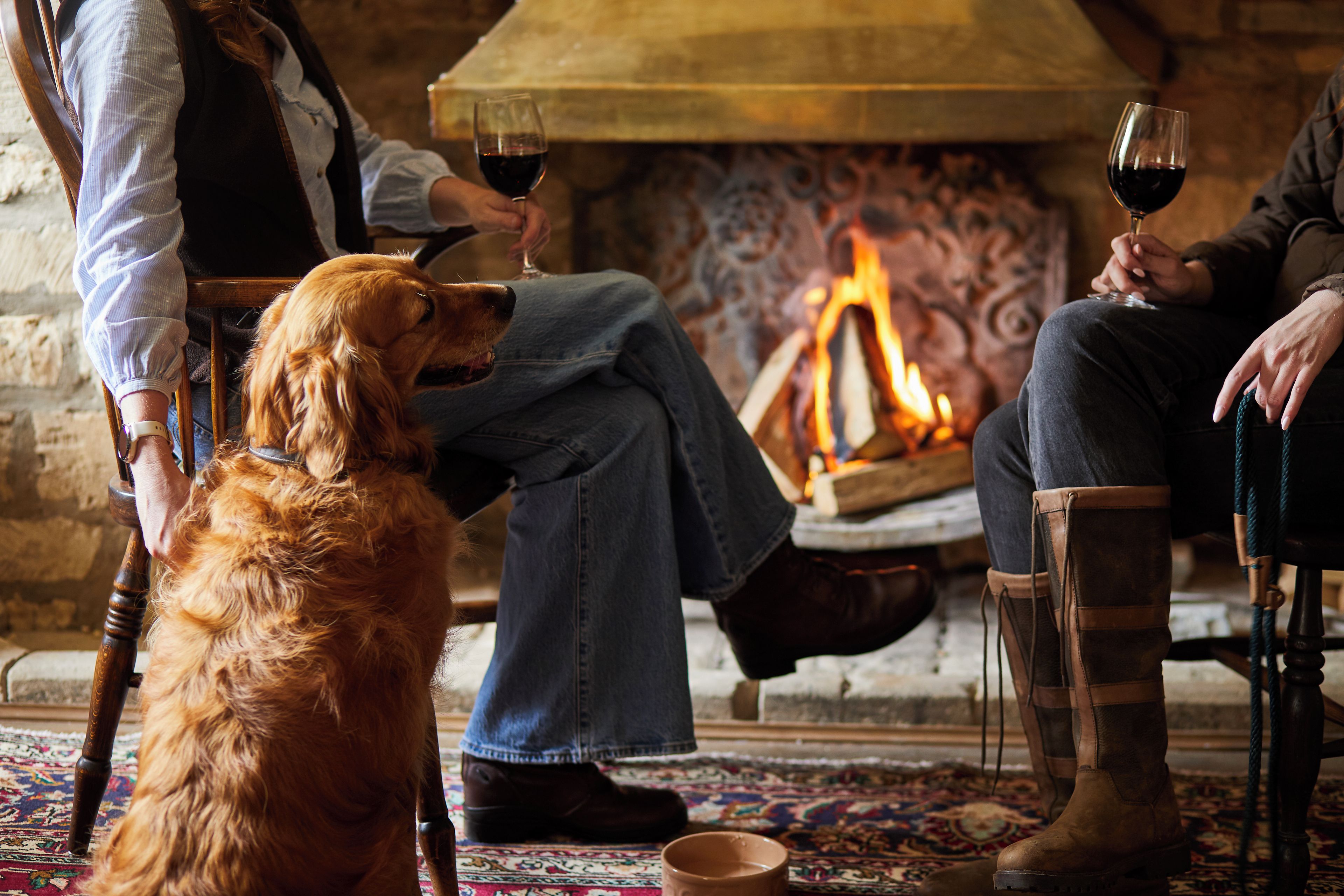 A cozy room with a fireplace, a dog, and two people seated.
