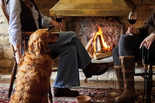 Una habitación acogedora con chimenea, un perro y dos personas sentadas.