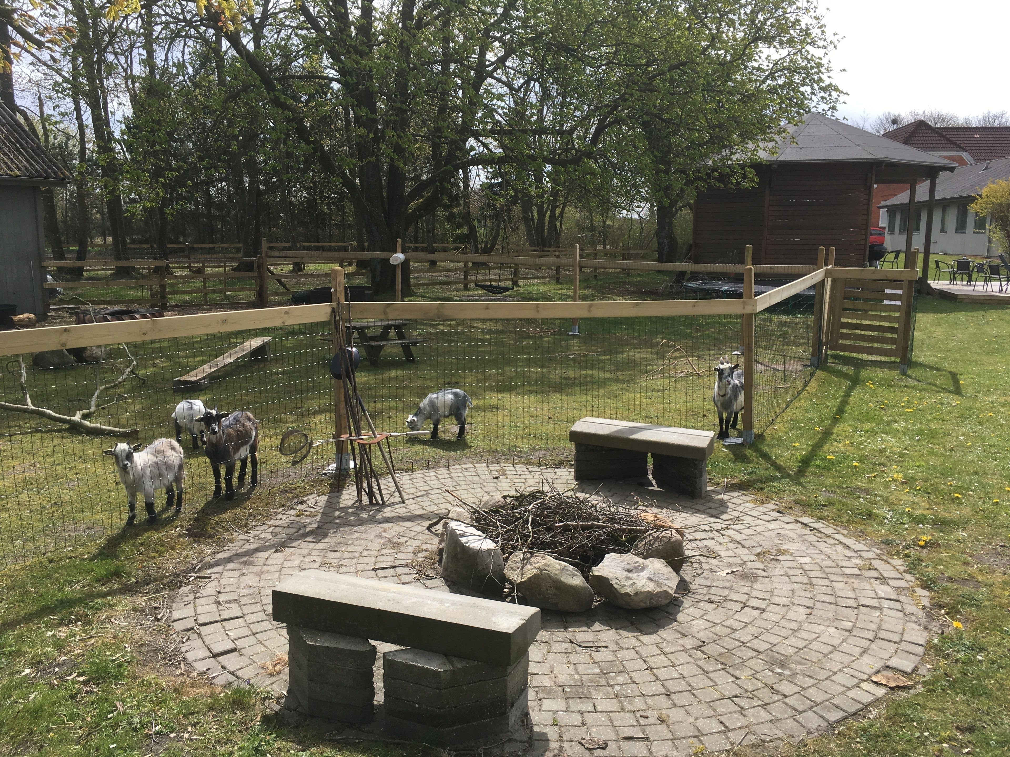 Terrein van de accommodatie