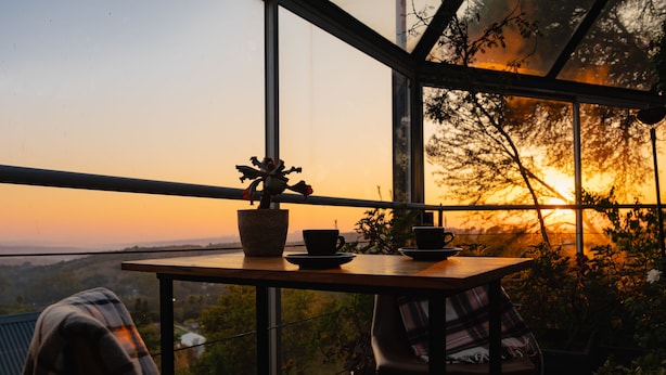 A table with a potted plant, two cups, and a plaid blanket in a room with large windows overlooking a landscape.