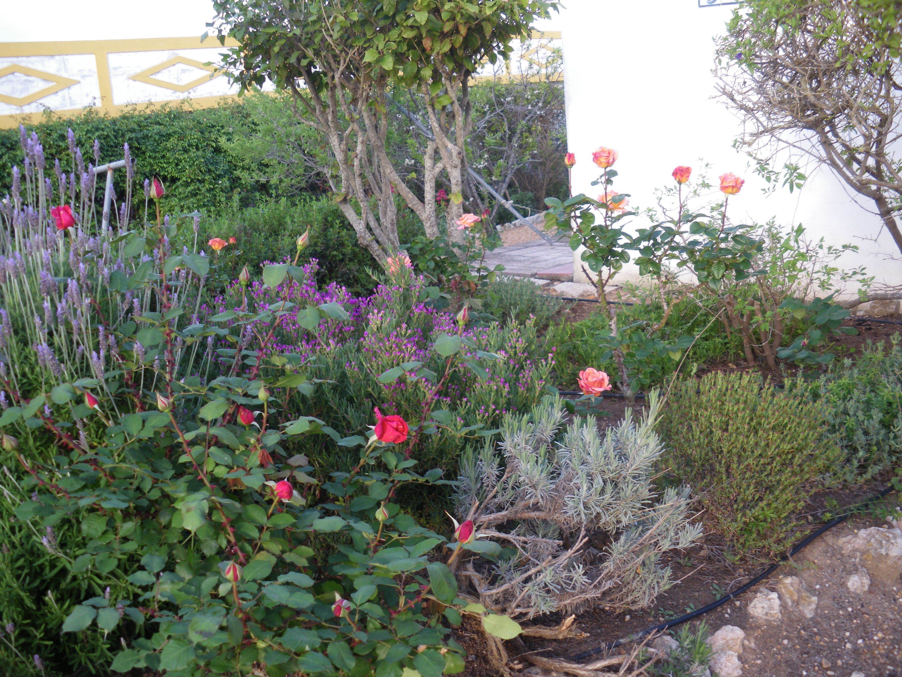 Foto - Bem Parece by Umbral