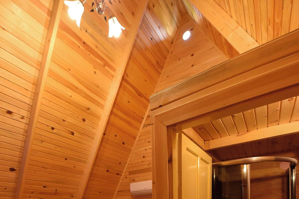 Une pièce en bois avec un lit, une douche et une porte.