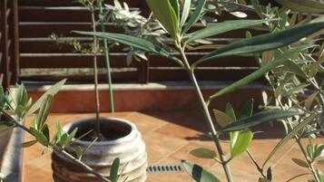 A terrace with olive trees, a potted plant, and a view of buildings in the background.