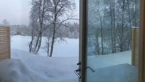 A snowy landscape with bare trees and a snow-covered ground visible through a glass door.