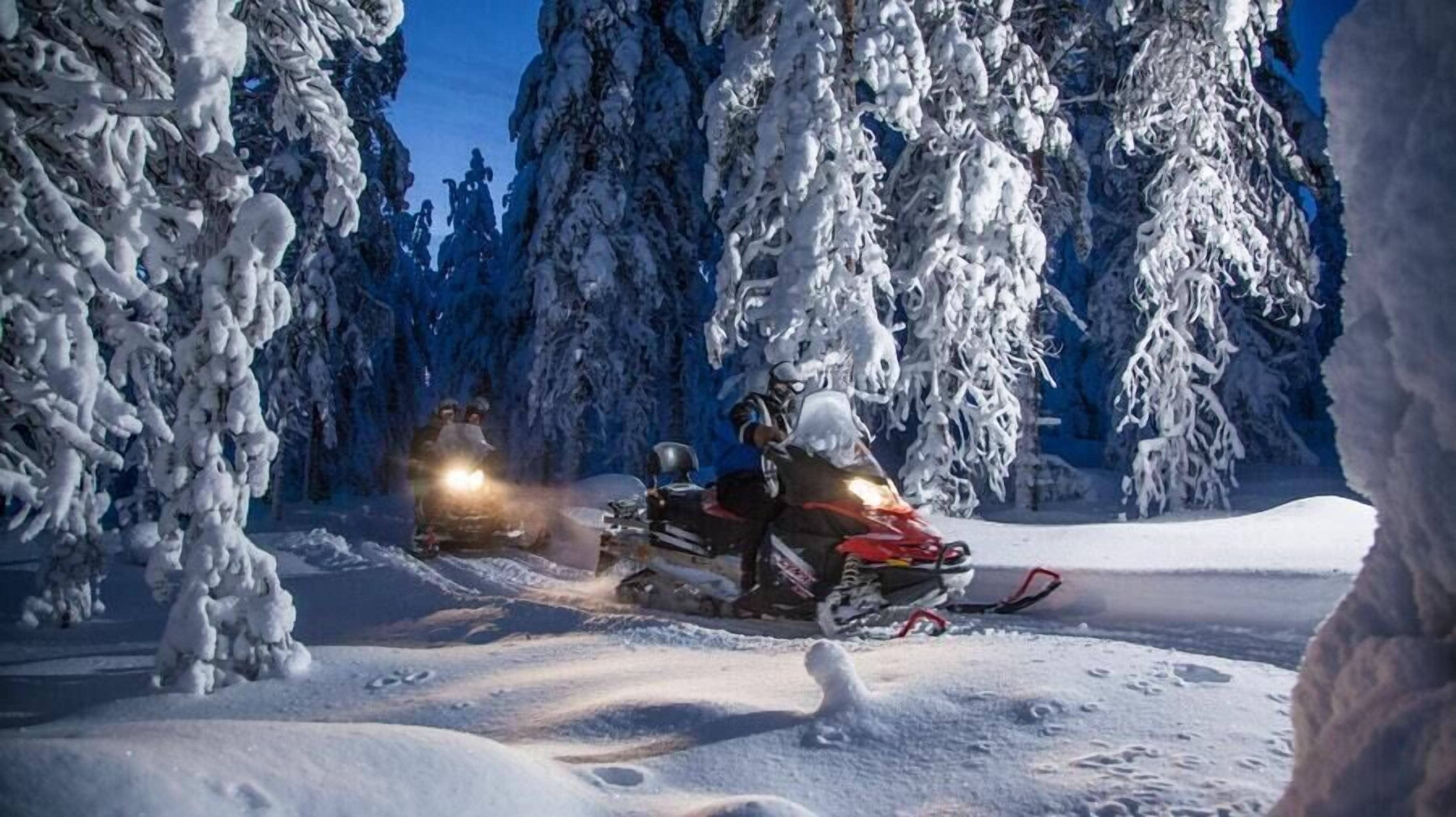 Un vehículo para nieve en un bosque nevado.