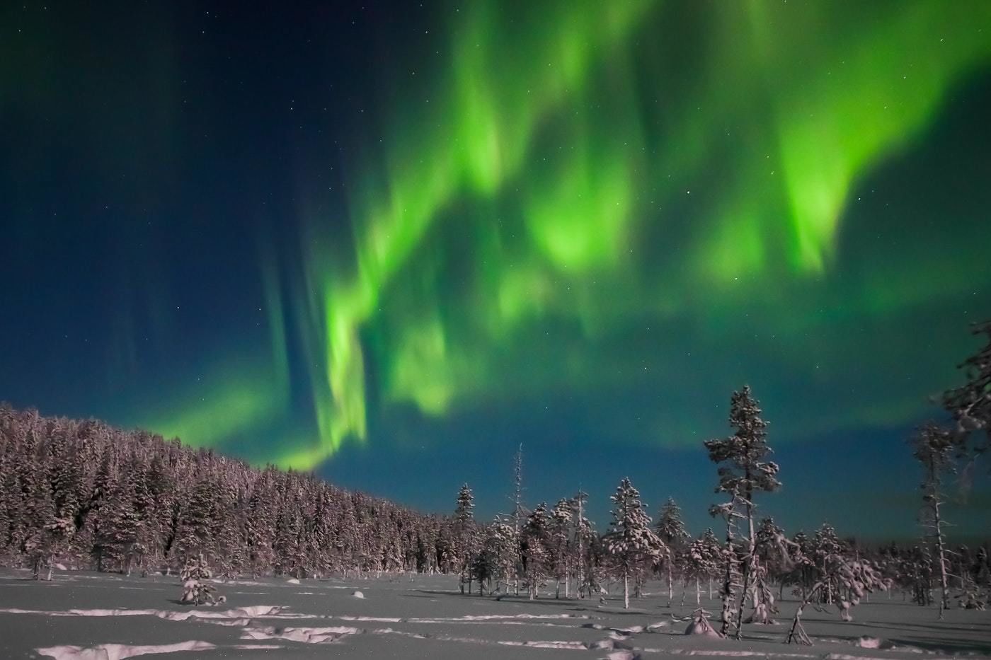 Paisagem nevada com uma floresta e a Aurora Boreal.