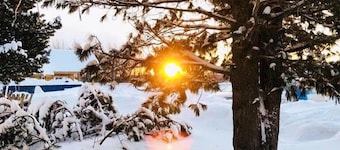 Arctic Resort Delight