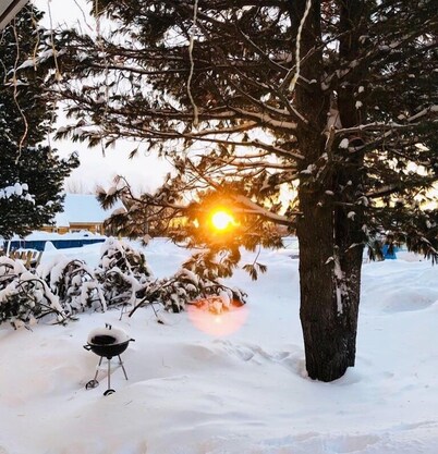 Arctic Resort Delight