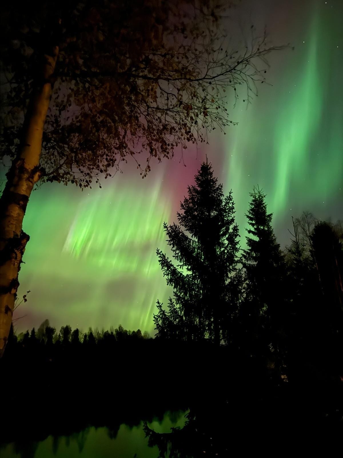 A night sky with the aurora borealis.