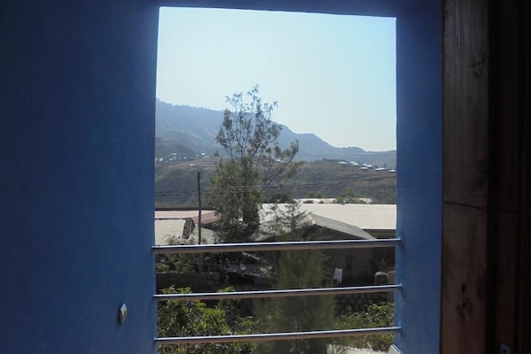 Basic Double Room | View from room