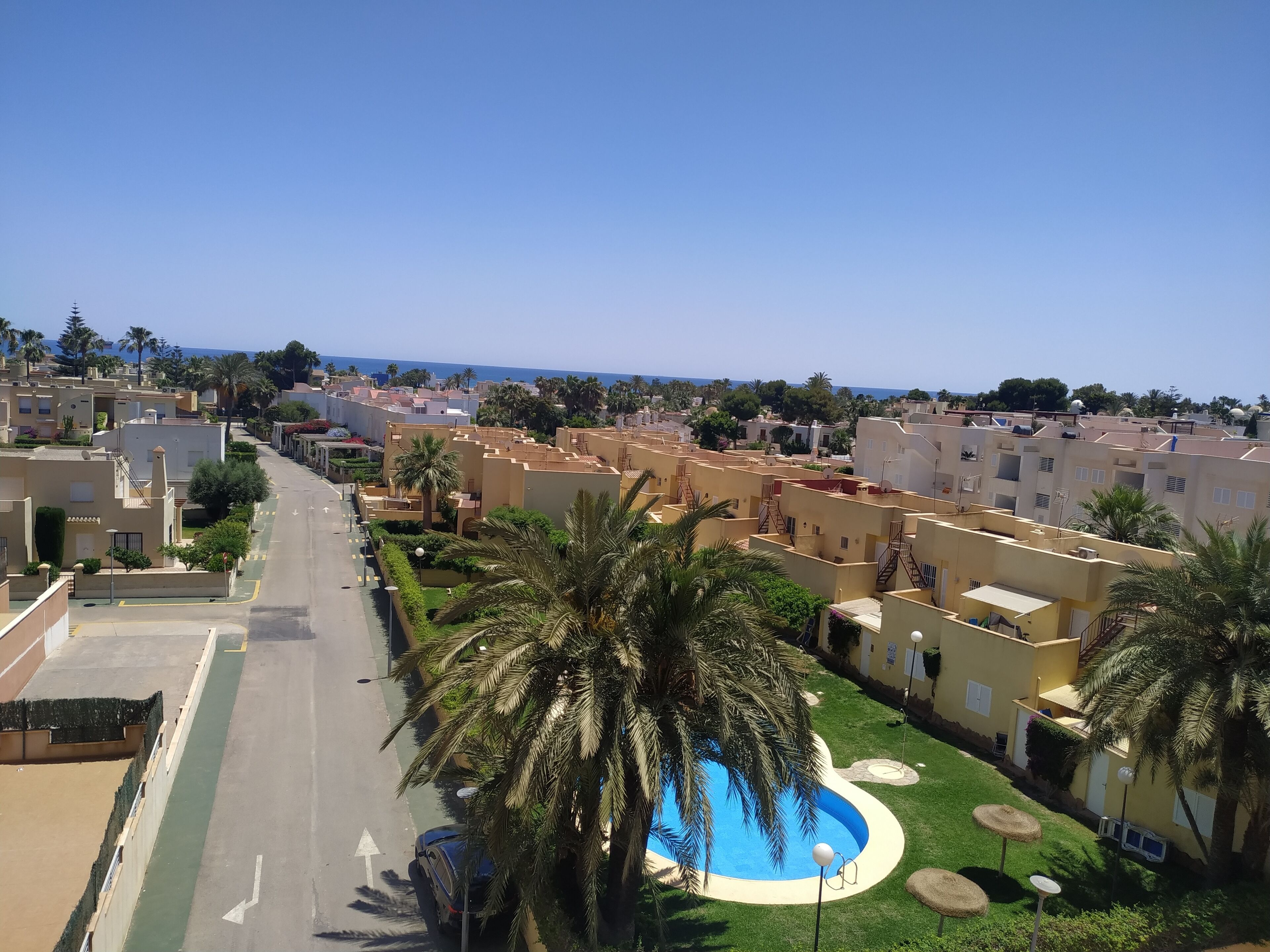 A residential area with a swimming pool surrounded by palm trees and a clear view of the sea.