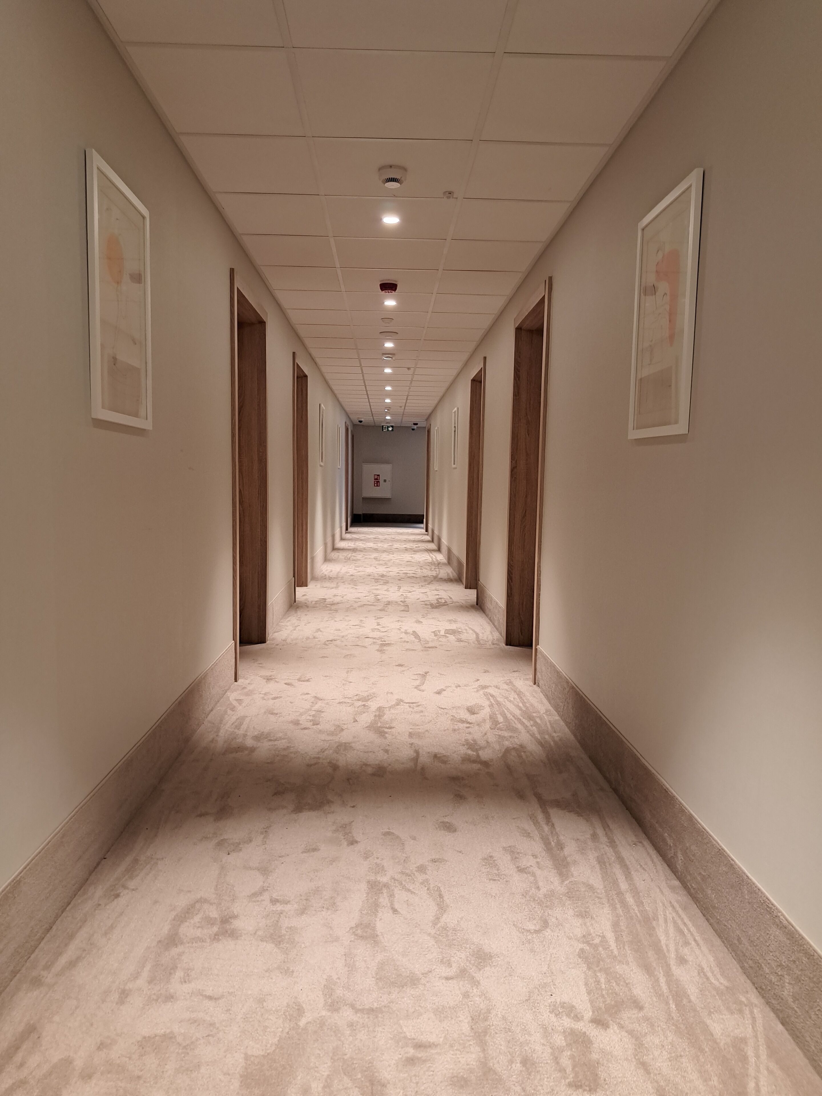 Un pasillo largo y estrecho con alfombra estampada, cuadros enmarcados en las paredes y puertas de madera a ambos lados.