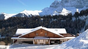 Een chalet met een schuin dak, houten gevel en een overdekt terras.