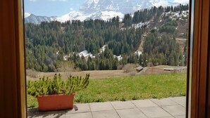 Uitzicht vanuit een raam op een bergachtig landschap met besneeuwde toppen en dichte bossen.