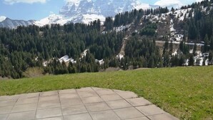 Een verhard buitengebied met uitzicht op besneeuwde bergen en dicht bos.
