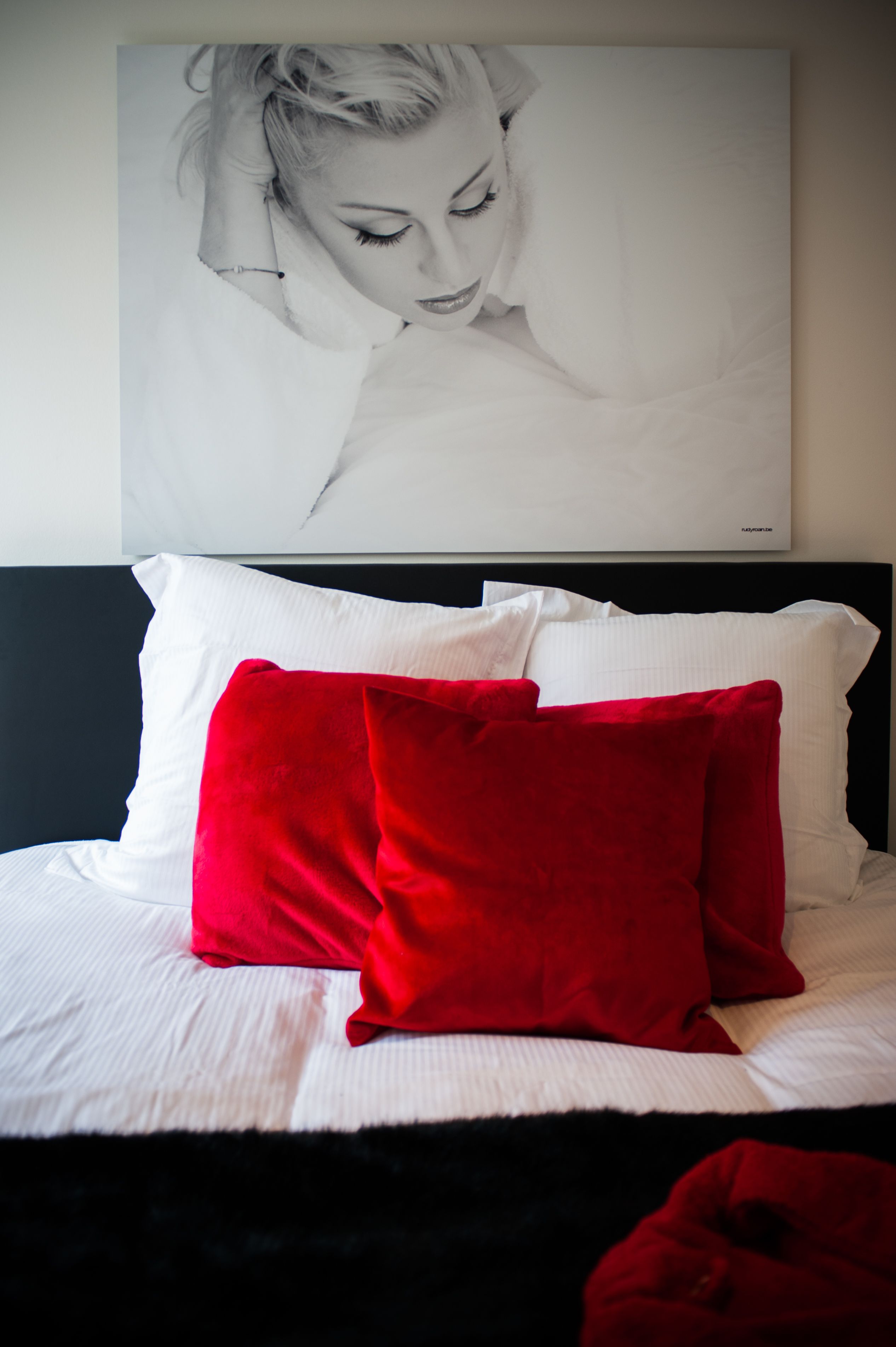 Photo - Lord of Ghent