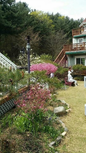 Giardino