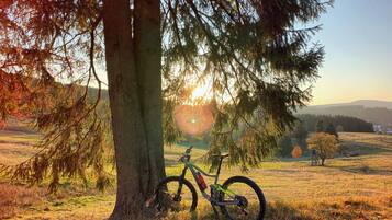 En mountainbike står parkerad under ett träd på en gräsklädd äng, med en vacker utsikt över kullar och en klar himmel.