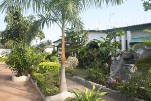 A garden with various plants and a palm tree. - Godville Guest House (Adenta)