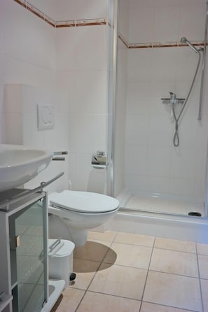 A modern bathroom with a glass shower enclosure, a toilet, and a sink.