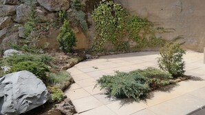 Un espace paysager aménagé en jardin, avec un mur en pierre, divers arbustes et un chemin dallé.