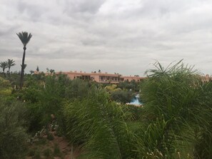 Garden - Appartements Jardins de la Palmeraie 3 (Marrakech)