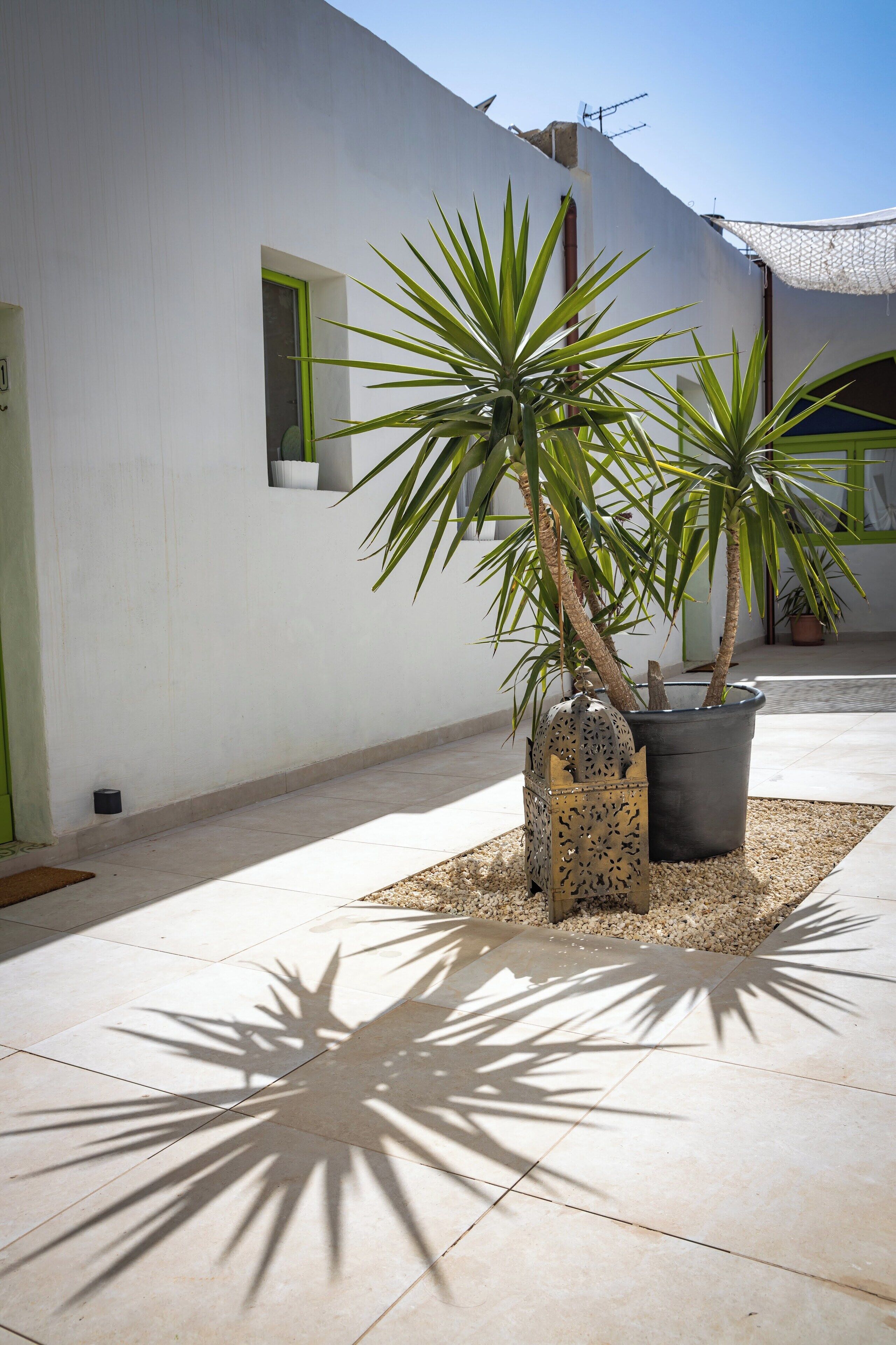 Foto - Lemon Tree Relais by CX Collection