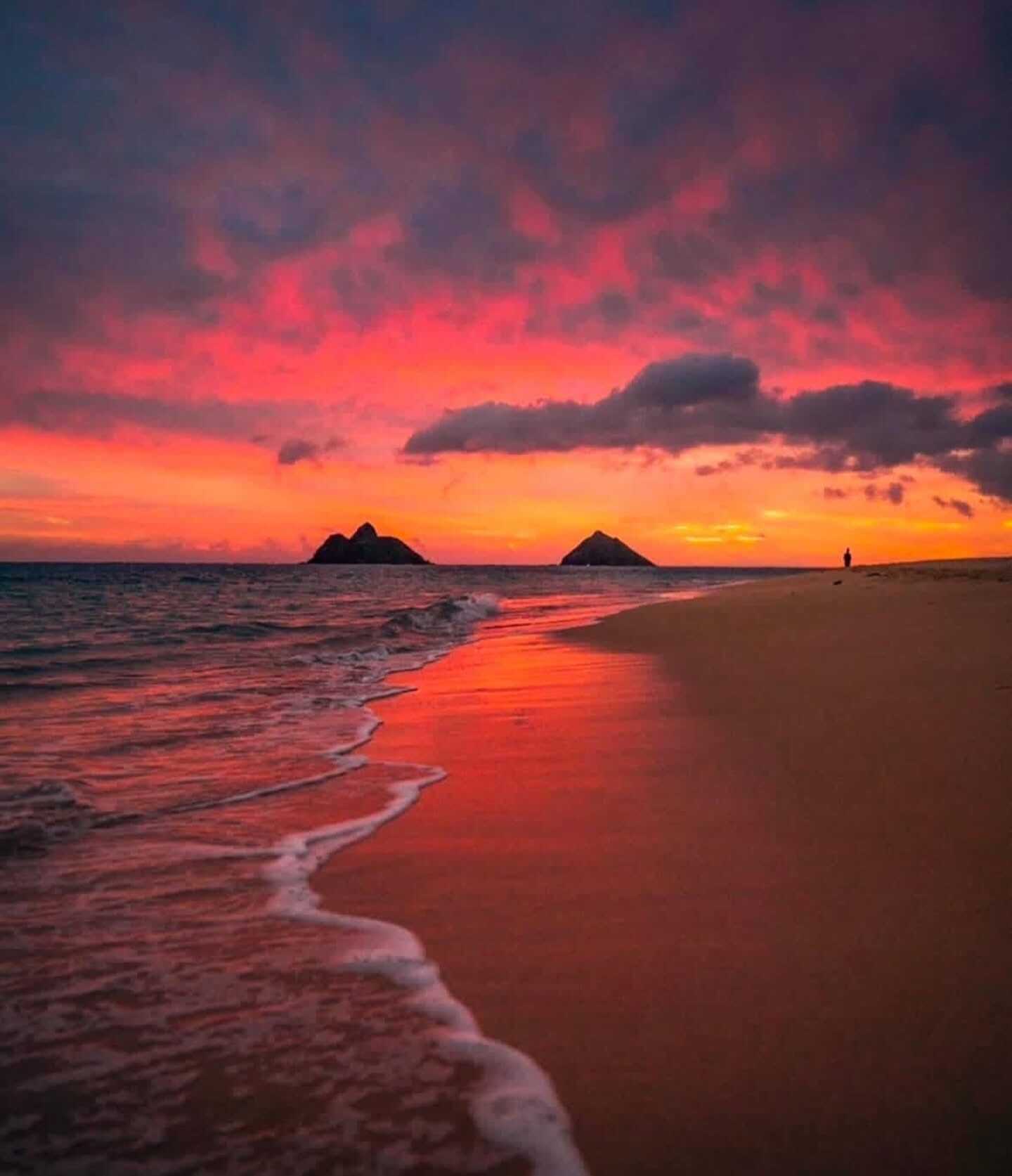 Plage à proximité, chaises longues, serviettes de plage