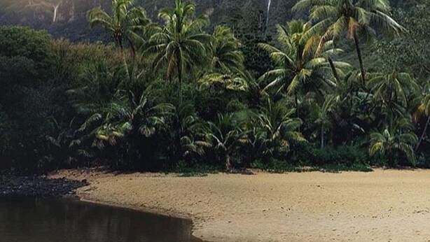 A tropical beach with palm trees and a waterfall in the background.