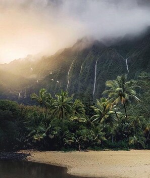 Una playa tropical con palmeras y una cascada al fondo.