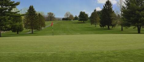 A well-maintained golf course with a clear sky and a flag on the green.