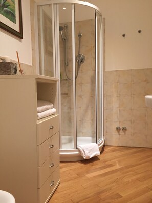 Shower, hair dryer, bidet, towels