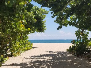 A beach pathway framed by lush green foliage leading to a sandy beach with a clear blue sea and a distant sailboat.