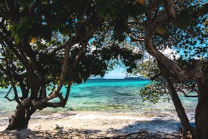 Una playa con agua turquesa cristalina, árboles y una orilla arenosa.