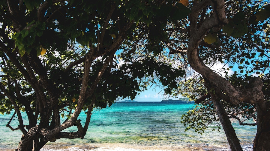 Beachfront Villas at Crystal Cove