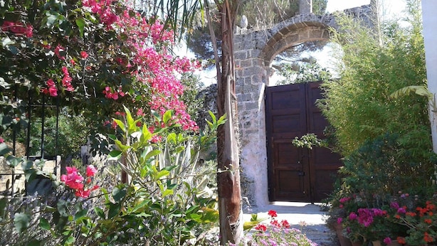 Un arco de piedra que da paso a una puerta de madera, rodeado de abundante follaje y plantas con flores.