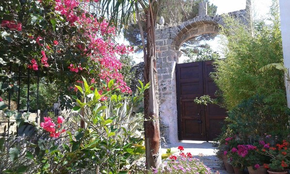 Garden - B&B Masseria delle rose 1760 (Alessano)