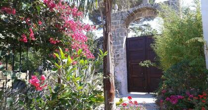 B&B Masseria delle rose 1760