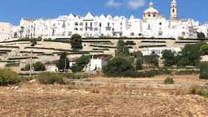 Un pueblo costero con edificios blancos, campos en terrazas y una iglesia destacada con un campanario.