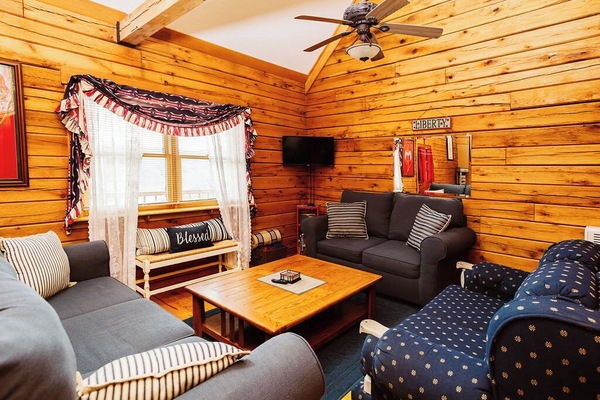 Smart TV, fireplace, DVD player, books