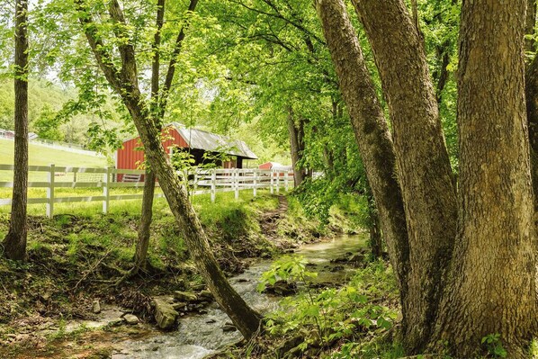 Property grounds - The Resting Place Cabin ~ Your Home away from Home (Huntsville)