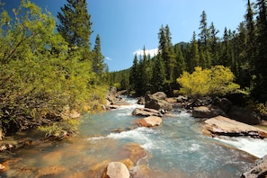 A river flowing through a forested area with rocks and trees. - Settlers Creek 6565 (Keystone)