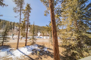 A snowy landscape with tall pine trees and a clear sky. - Ironwood 2986 by SummitCove Vacation Lodging (Keystone)