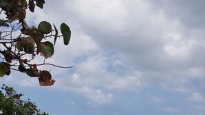 بالقرب من الشاطئ، كراسي للتشمس، مناشف للشاطئ