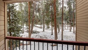 A view from a balcony with a railing, overlooking a forested area with snow on the ground. - Quicksilver 1672 (Keystone)
